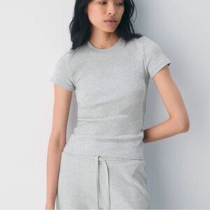 Aritzia Homestretch Gray Short Sleeve Tee